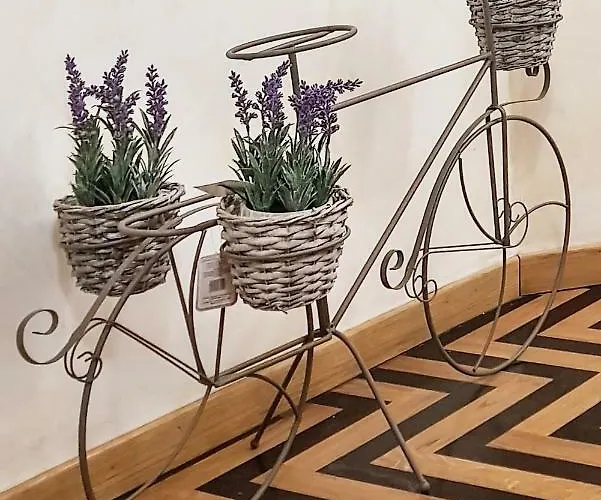 Domus Paradiso Piazza Navona Apartament Rzym